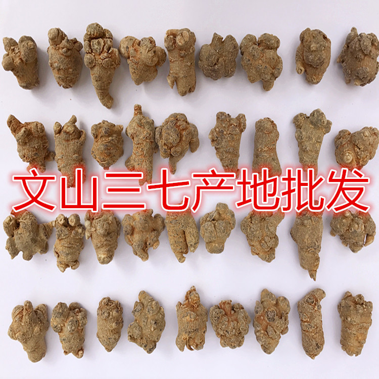 Yunnan Wenshan Chun Panax Notoginseng Heads Are Washed and Clean with Shears, 20 Heads, 30 Heads, 40 Heads, 60 Heads, Tianqi Wholesale 500g
