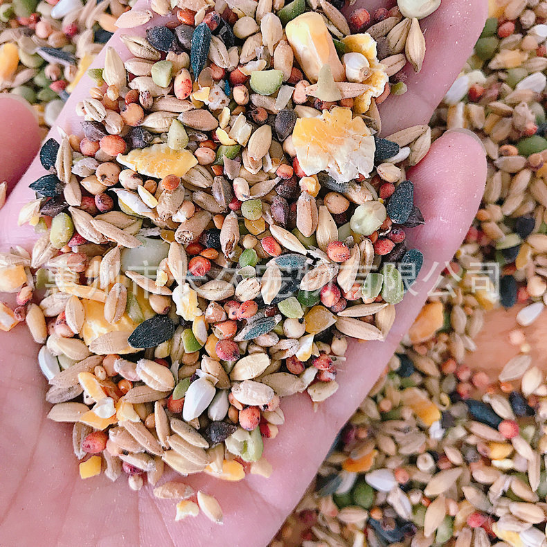 Bulk squirrel food fruit food seafood food hamster self-food staple food snacks pet pigeon food bird food hamster food