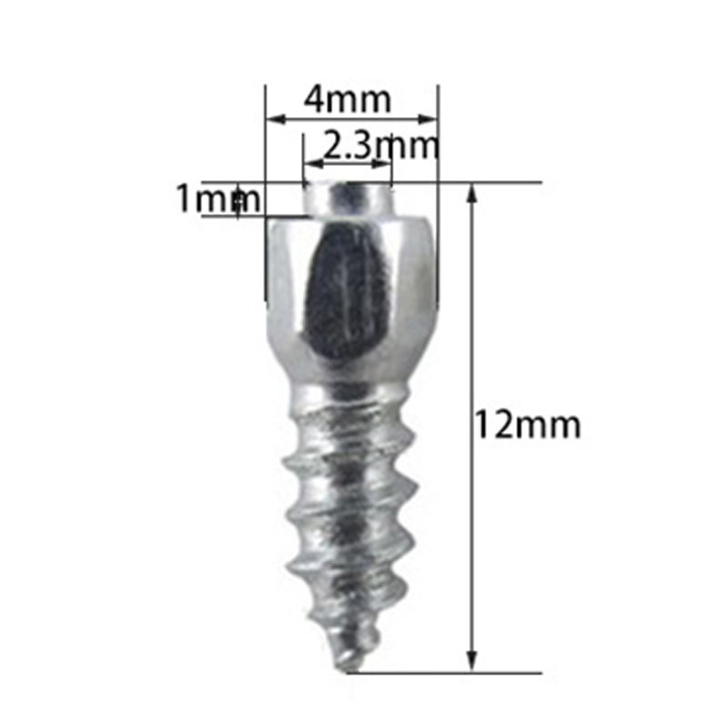 Car Winter Abrasion Resistant Tungsten Steel 100Pcs/4*12mm with Installation Tools Car Non-slip Tire Snow Tire Nail