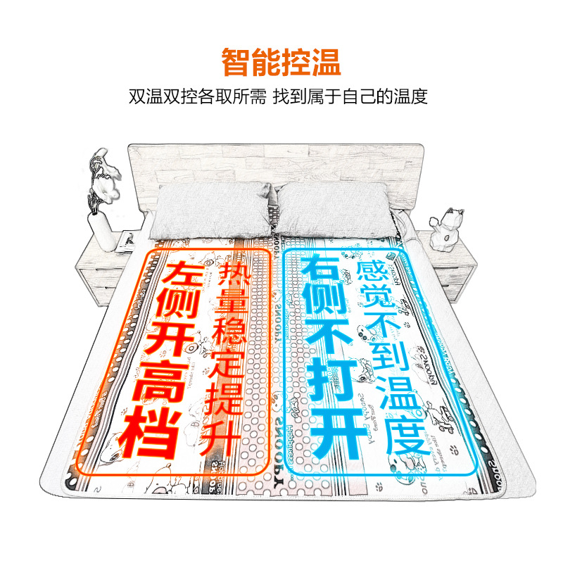 Intelligent Timed Double Dual-Control Temperature-Adjustable Electric Blanket Wholesale Dormitory Home Single Thickened Electric Mattress Starting from One Piece