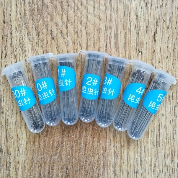 Supply of Stainless Steel Resin Head Insect Needle Specimen Needle Specimen Making Patchwork Positioning Needle Ultra-Fine Bead Needle Replacement