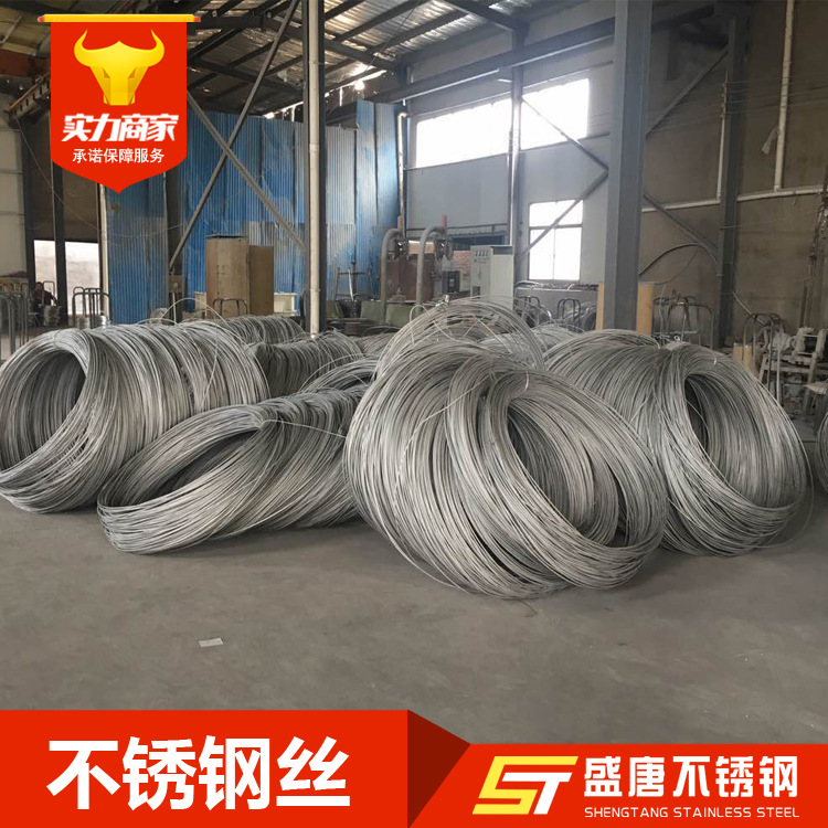 TP304 Stainless Steel Disc Bright Wire 201 669 316L Stainless Steel Electrolysis Medium Hard Wire Mist Spring Wire
