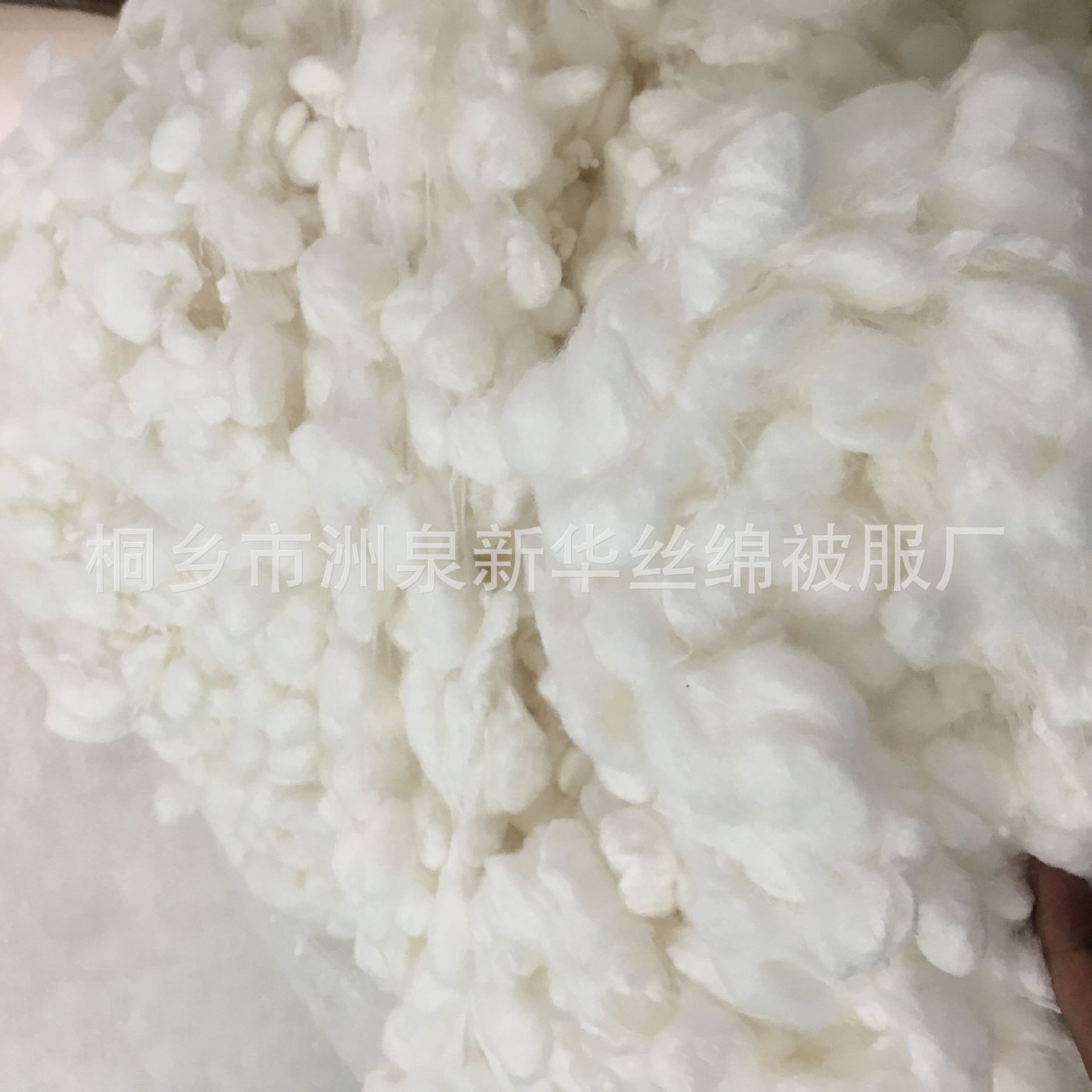 White Silkworm Cocoons from Mulberry Silk, Used for Cocoon Opening Machines and Spinning Machines, Large and Clean Raw Silk Material