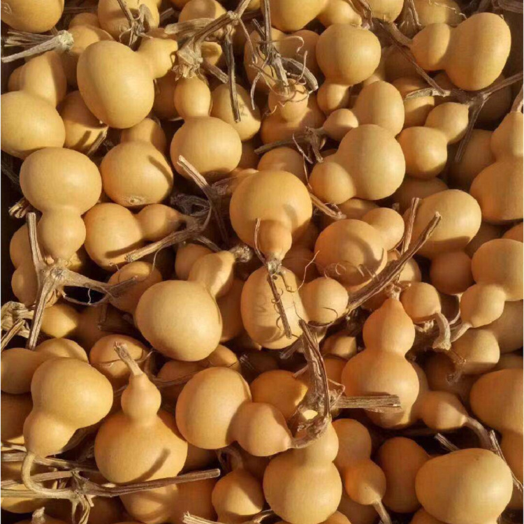 Manufacturer Wholesale Gourds, Liaocheng Gourds, Small Gourd Toys, Gourd Ornaments, Large Gourd Ornaments