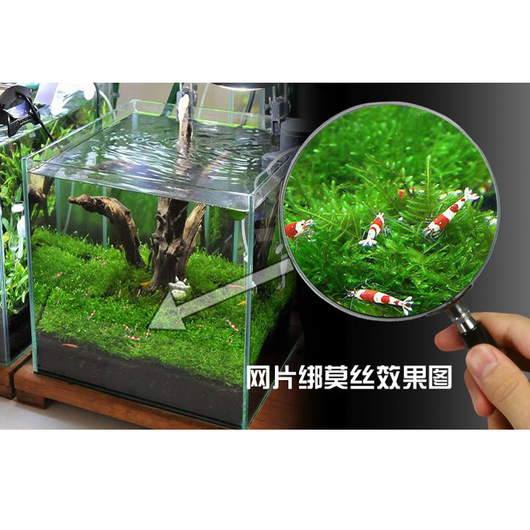 304 Mesh Tie Water Grass Colonization Moss Mesh Fish Tank Water Grass Shaping Landscape Decoration Mesh