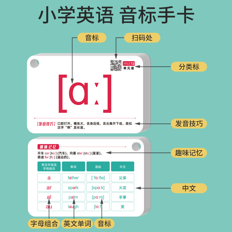The new version of the International Phonetic Alphabet Pronunciation Card 48 Primary School Junior High School English Introduction Teaching Aware Learning Artifact