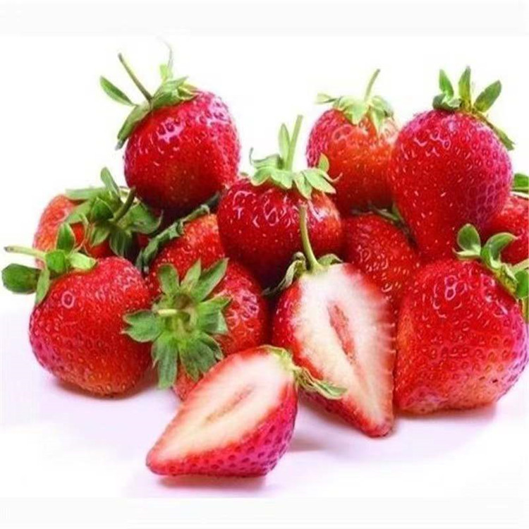 Strawberry Seedlings That Bear Fruit in the Same Year, Excellent Base Price, Wholesale Strawberry Seedlings for Sale, Fengxiang Strawberry Seedlings Planted in the North and South