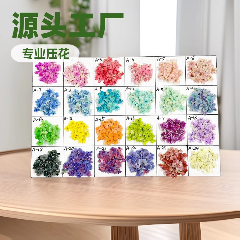 Японский стиль мини ногтевой арт, сухие цветы, натуральные цветы, оптовая продажа, носите настоящие цветы