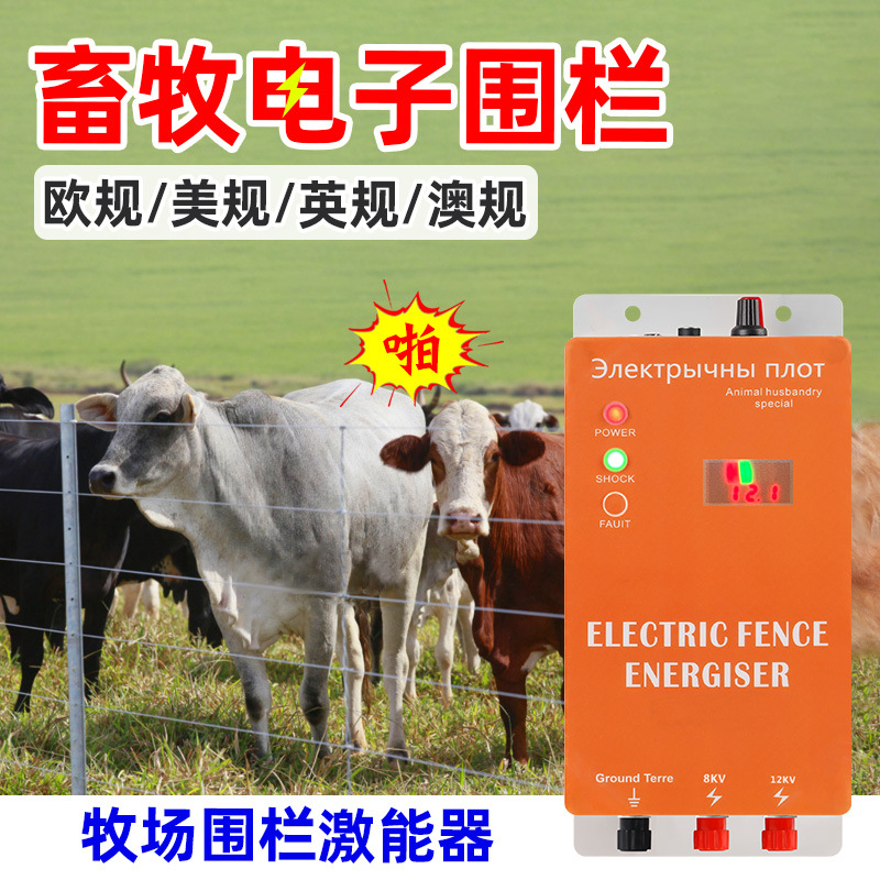 Cross-border Foreign Trade Special for Electronic Fence Animal Husbandry Ranch Electric Fence Exciter European Standard Energy Amplifier