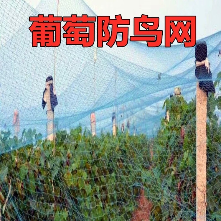 Chicken net nylon net Orchard bird-proof net poultry breeding net vine climbing net chicken top Net chicken vegetable garden court Net