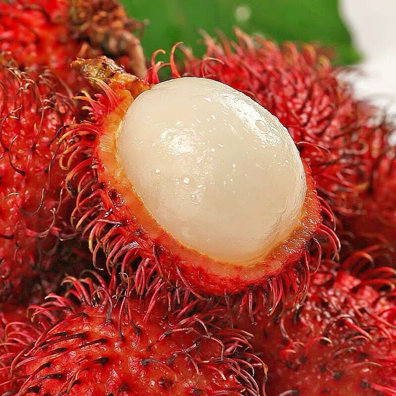 Guangzhou Jiangnan Wholesale【】Fresh Rambutan, Ripe Rambutan from the Tree, Seasonal Fruit, Originally from Guangdong