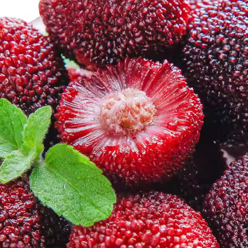 Jingdefu Frozen Bayberry 50g Small Bag Ready-To-Eat Childhood Snacks Sweet and Sour Fruit Fresh Iced Bayberry Balls