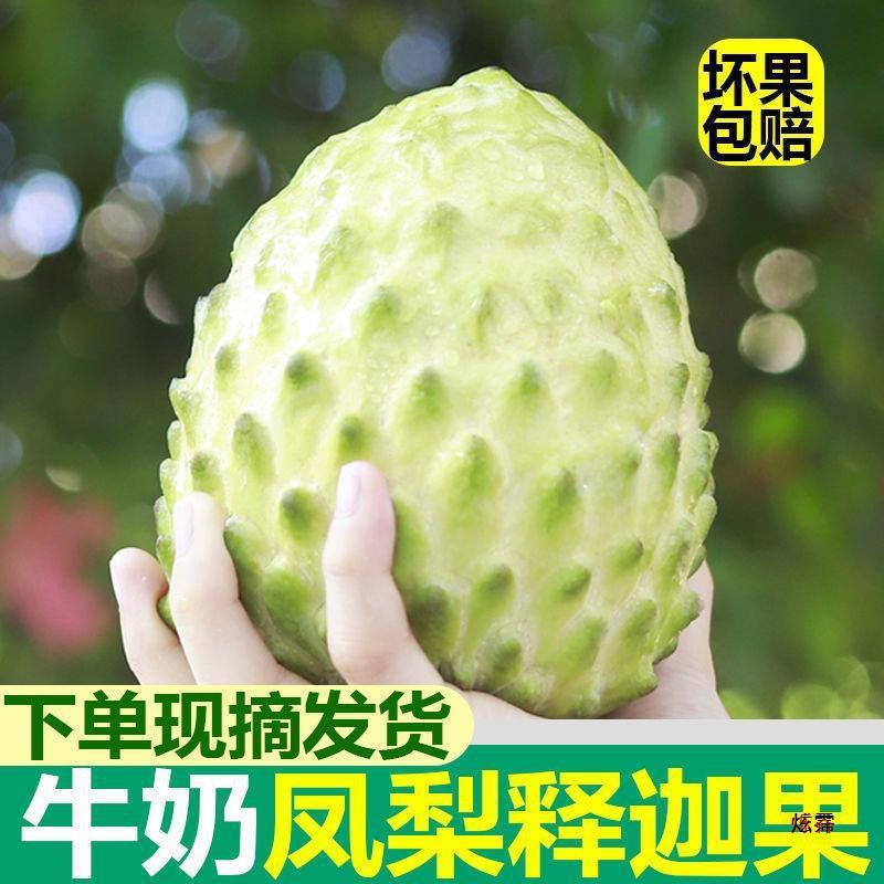 Milk Saba Fruit Fresh 2.5kg Pineapple Saba Fruit Seasonal Saba Fruit Buddha Head Fruit