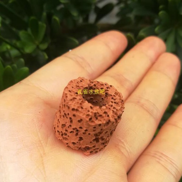 Water Grass Fixed Ring Gravity Ring Biological Breathing Ring Water Grass Fixed Ring Lazy Man Landscape Planting Ring Simple Decorative Use