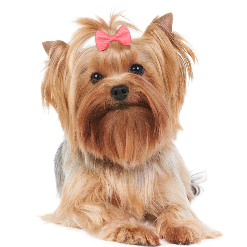 Cross-border small size Pet Hairpin 4cm Rib with Mini Bow Hairpin European and American Marzis Top Clip Hair Accessories