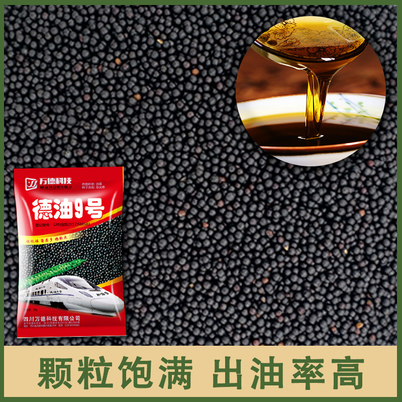 Deyou No. 9 High-Yielding Field Rapeseed Sown in Autumn, Disease-Resistant, Cold-Resistant, Lodging-Resistant, Short-Stem Hybrid High-Quality Rapeseed