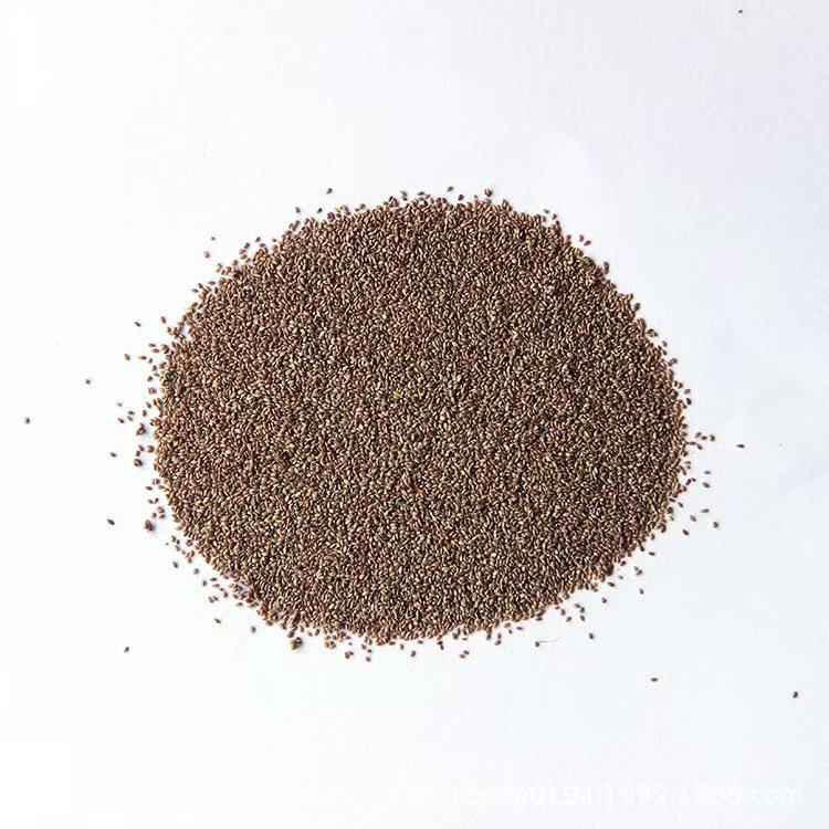 Wholesale Lawn Seeds, Grass Seeds, Slope Protection, Greening, Soil Fixation, Evergreen Tall Fescue, Ryegrass, Bermudagrass Seeds for All Seasons