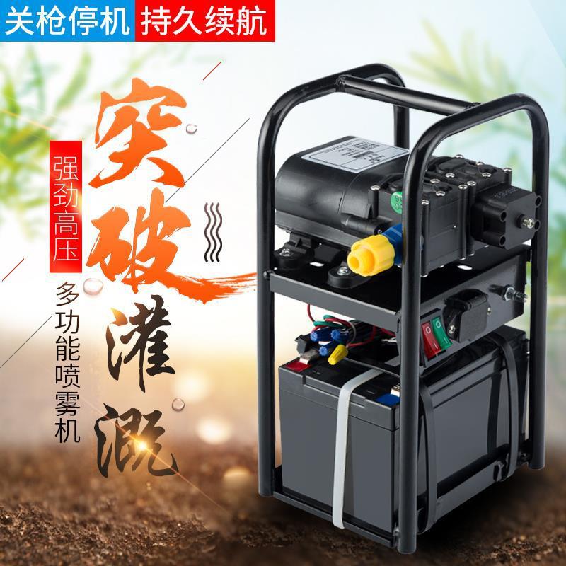 Электрическая машина для распыления пестицидов, сельскохозяйственный пестицид, новый интеллектуальный распылитель, высокое давление, портативный, малый, зарядка, насос