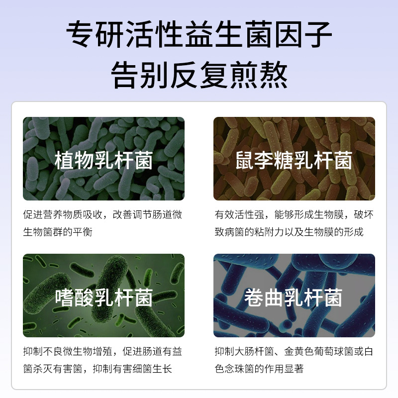 Private Probiotic Tablets Zhengzhou Manufacturer Soothes Itching and Inhibits Bacteria Oem Customized Jiayin Gynecological Probiotic Tablet Processing