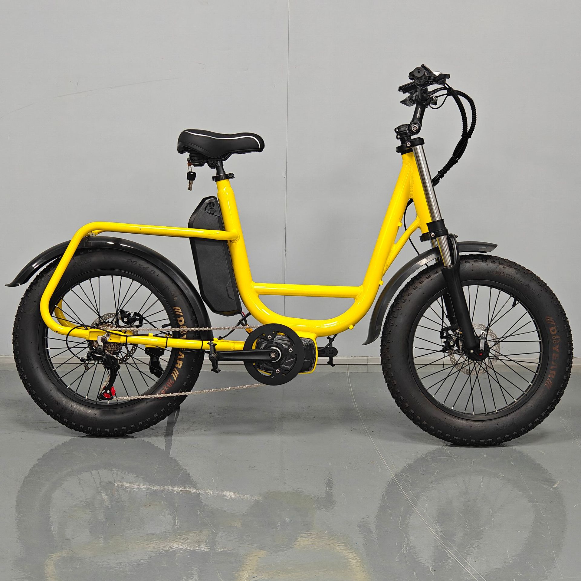 Wholesale 20inch Fat Tire Snow Electric Bike Electric Assist Bicycle Factory Direct Sales