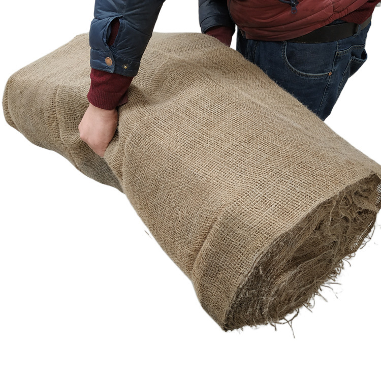 Soil ball sack piece sack sack sack sack sack sack sack sack sack tree root sack sack sack sack sack sack sack sack tree root sack sack sack sack sack sack sack sack sack sack sack sack sack sack sack sack sack sack sack sack sack sack sack sack sack sack sack sack sack sack sack sack sack sack sack sack sack sack sack sack sack sack s