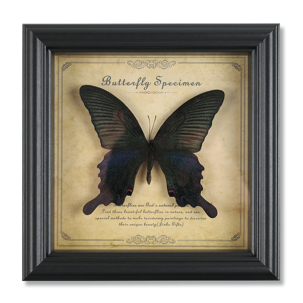 True Butterfly Specimen Photo Frame High-end Wooden Decorative Painting Home Decoration European Style Retro Photo Frame Table Birthday Gift