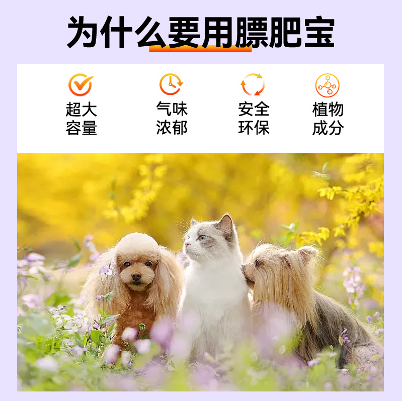 Nutritional Supplements for Dogs and Cats from Biaofei Baogou Farm, Wholesale and Distribution from the Factory