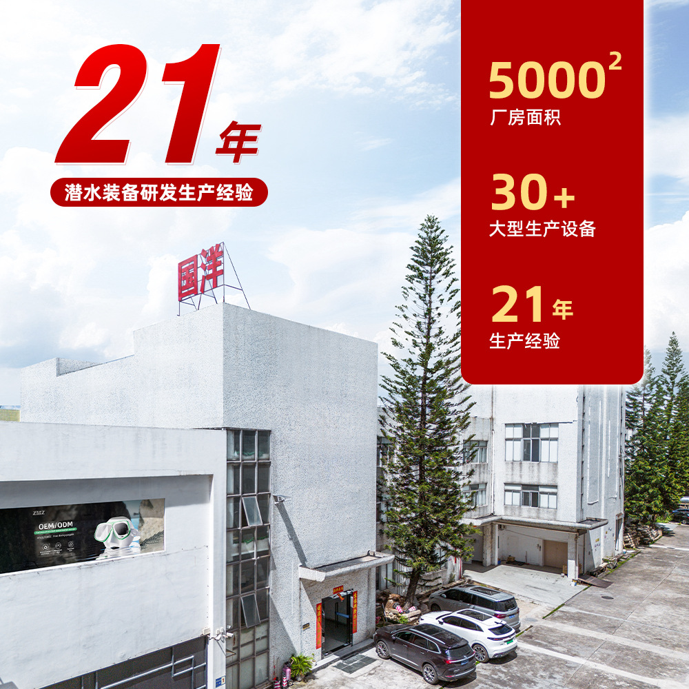 Free diving glasses myopia lens diving mirror camera bracket silicone snorkeling mirror snorkeling equipment