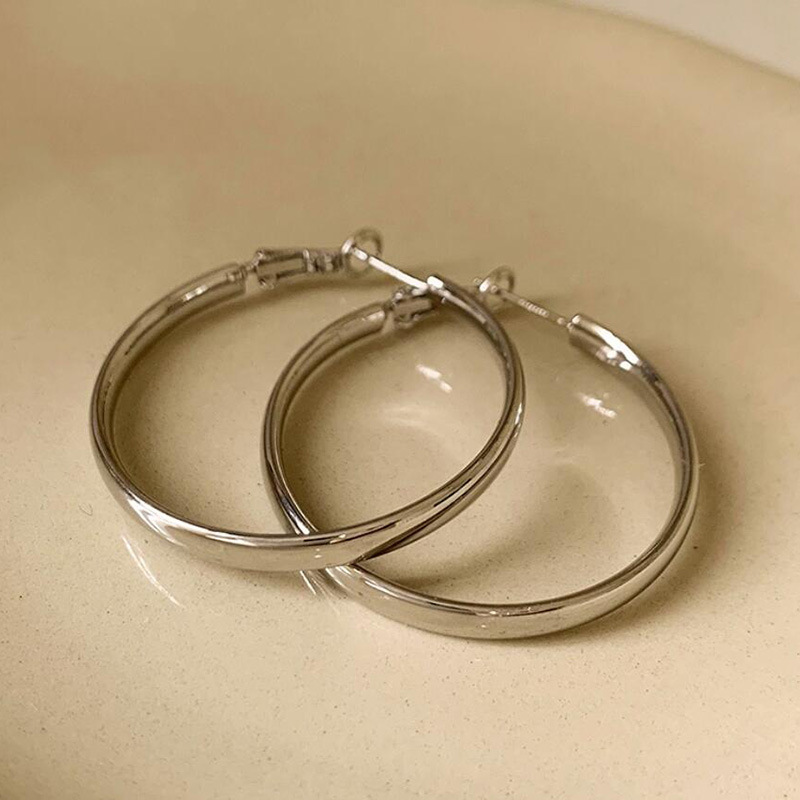 French-Style Metal Hoop Earrings 2025 New Model for Women, Trending on Tiktok, Unique and Elegant Earrings Wholesale