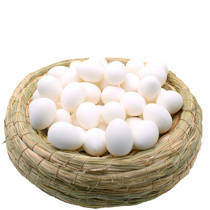 Yixiang Utensils Manufacturer Wholesale Plastic Solid Fake Pigeon Eggs Pigeon Fake Eggs Guide Eggs Pigeon Supplies Pigeon Tools