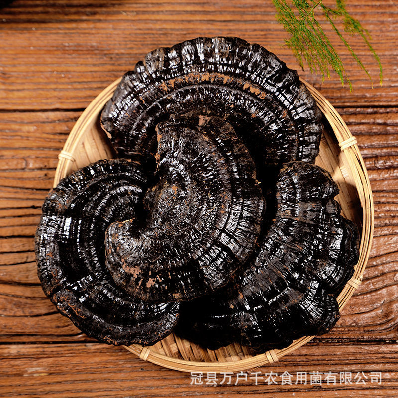 Wholesale black ganoderma lucidum whole not bitter gift box large base straight hair without handle can be sliced recruitment agent soup