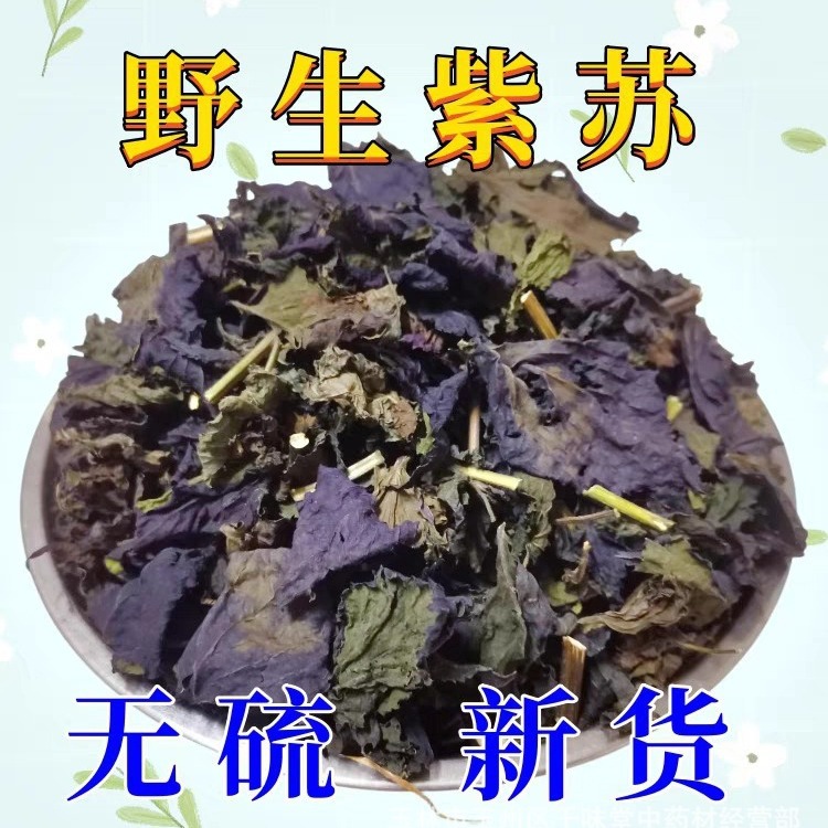 Authentic Chinese Herbal Medicine Perilla Leaves, Dried Perilla Stems from Guangxi, Sulfur-Free, Wholesale Bulk Medicinal Sulfur-Free Perilla Leaves