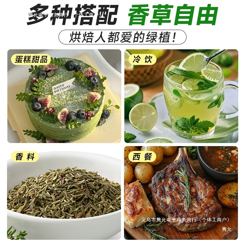 Fragrant Pepper Wood Potted Green Plants and Flowers Balcony Indoor Mosquito Repellent Grass Saplings Old Pile Mint Rosemary