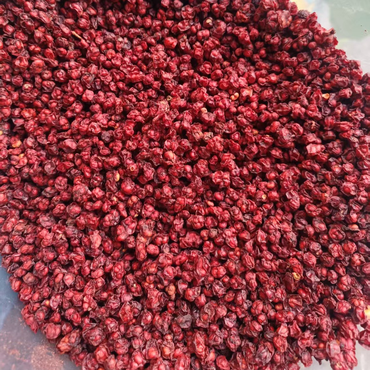 Northeast Schisandra Wholesale Schisandra Jilin Schisandra Seed Manufacturer Straight Hair Schisandra 500g 0.5kg