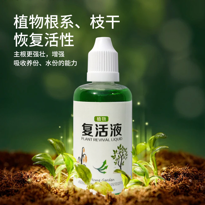 Universal Plant Flower Resurrection Solution for the Rapid Enhancement of Auxin Activity against Yellowing and Leaf-dropping of Light-rod Plants