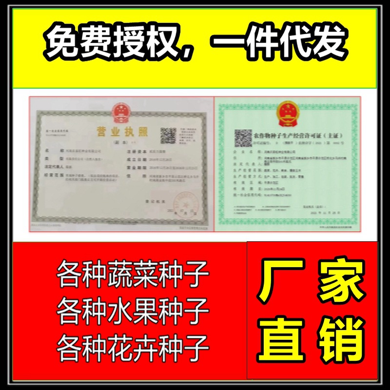 Manufacturer Wholesale Autumn Radish Cabbage Lettuce Rapeseed Color Bag Original Seed Cabbage Seeds Seedlings Vegetable Seeds