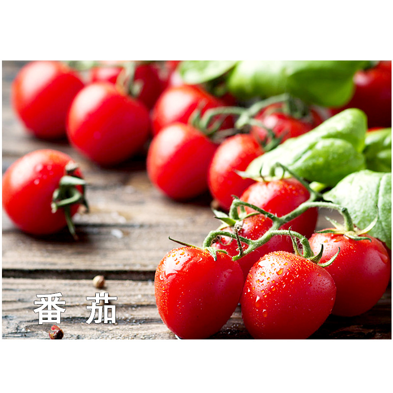 Aidoshou 1.8% Sodium Nitrophenolate Is Used to Color Flowers and Fruits, Promote Rooting, Protect Flowers and Fruits, and Protect Plants from Pesticide Damage and Growth Regulation
