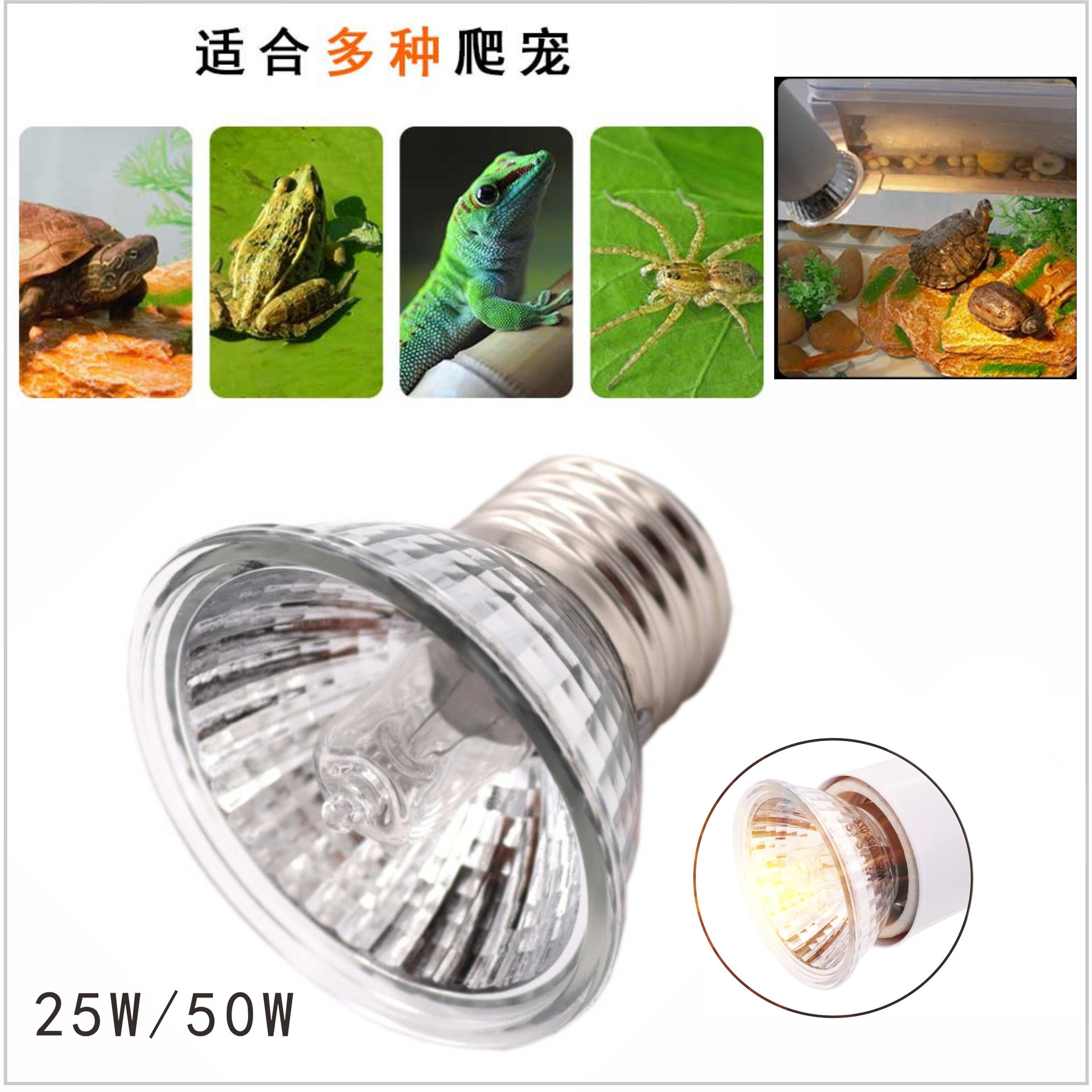 Heating bulb turtle drying back lamp heat preservation lamp heating lamp crawler heating E27 halogen bulb wholesale