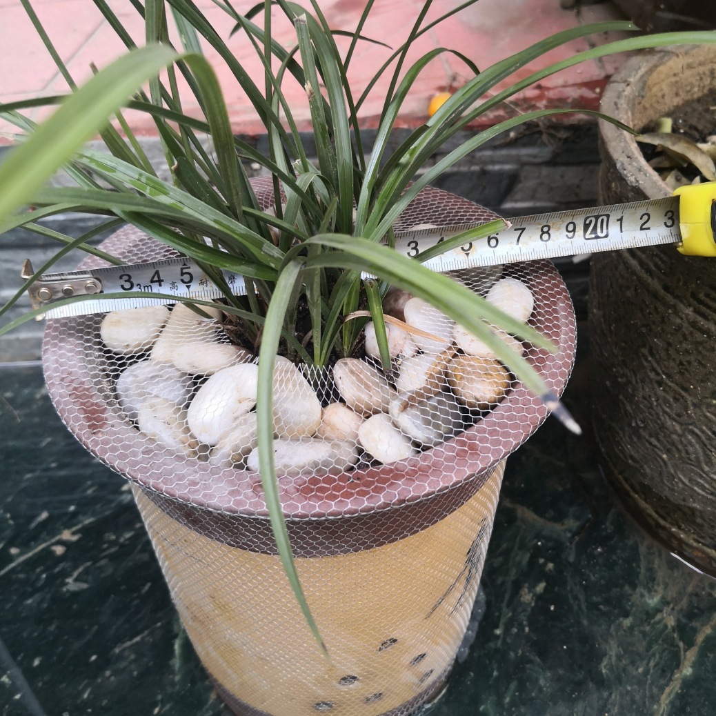 Orchid flowerpot protective net orchid planting stone anti-sprinkling anti-leakage net anti-leakage net cover Wuhan Hongkai factory outlet