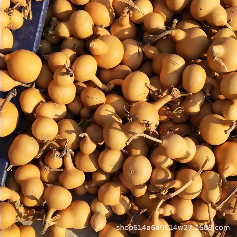 Natural gourd small American hand twist gourd Wen play play small gourd gourd crafts wholesale