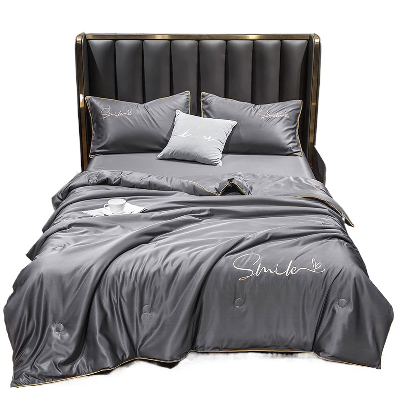 Ice Feather 2025 New Embroidered Washed Silk Summer Quilt Quilt Core-Trend Series