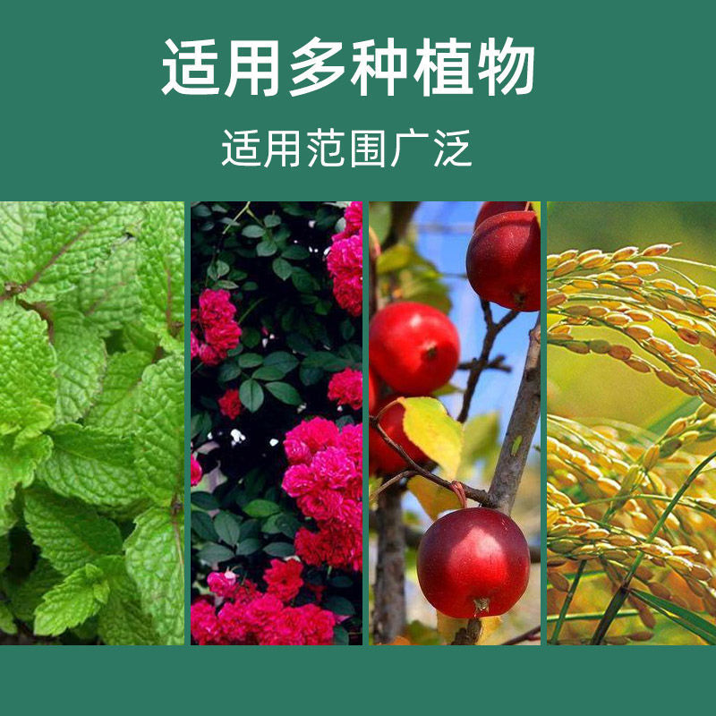 Soil Activation Treasure Mine Source Fulvic Acid Potassium Pine Soil Essence Water Soluble Fertilizer Flower Fertilizer Anti-Hardening Modifier Soil Activator