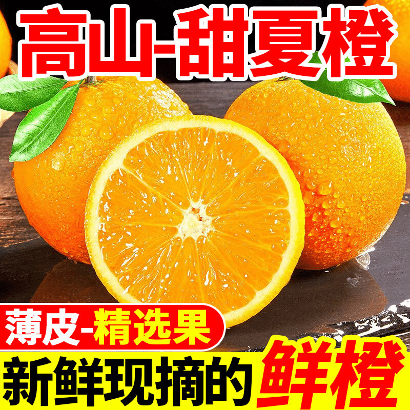 Alpine Summer Oranges, Freshly Picked Fresh Oranges, Seasonal Hand-Peeled Sweet Oranges, Thin-Skinned Navel Oranges, a Whole Box with Free Shipping