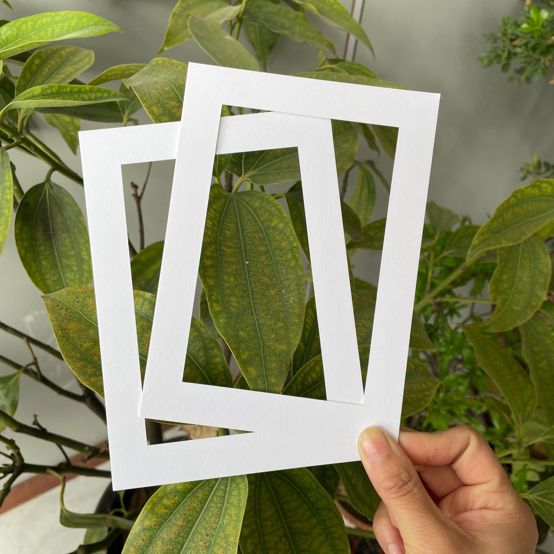 Белая картонная круглая квадратная фоторамка, специальная настенная подкладка, картон, фабричный прямой дизайн, узор из картона