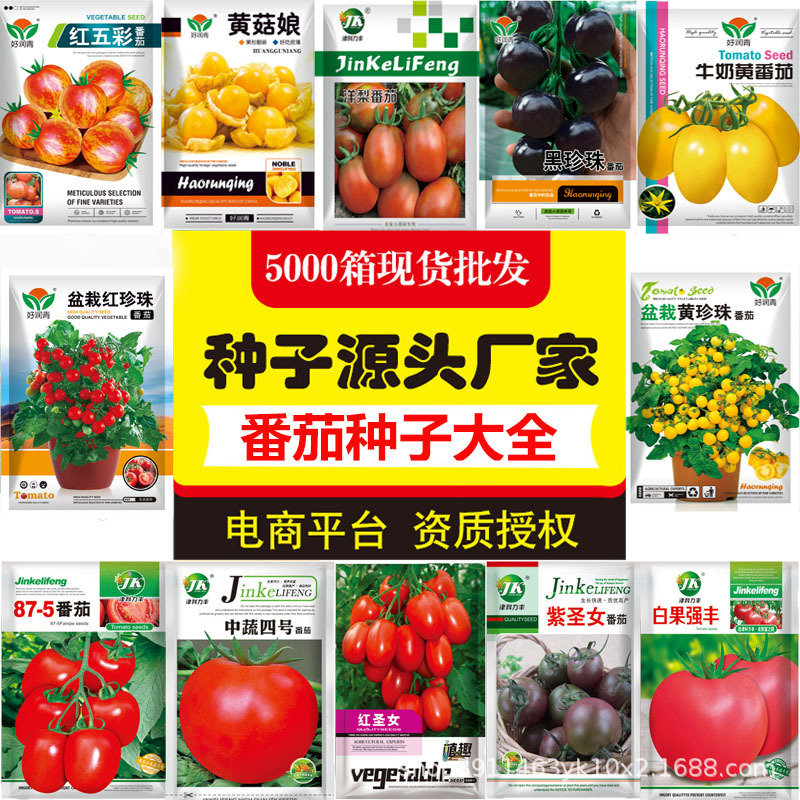 Полный список семян томатов, розовая мякоть, семена красных, желтых и черных томатов, черри, четырехсезонные семена для горшков