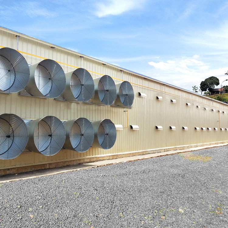 Горячее оцинкованное стальное здание курятника, производство, сборные стальные конструкции, куриный сарай