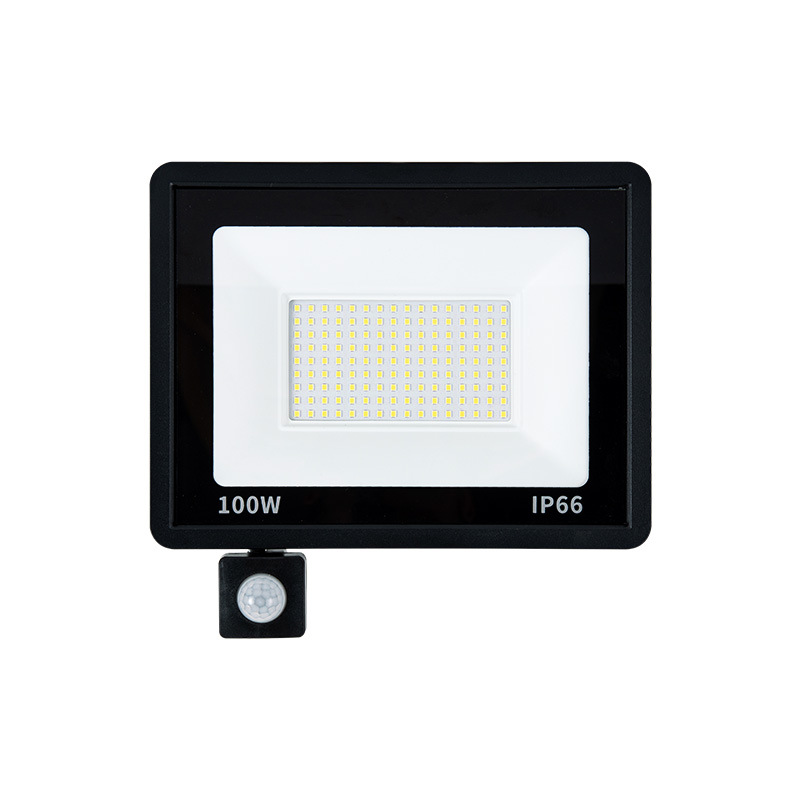 Small apple induction flood light 10W50W100W full power led garden light wholesale outdoor waterproof flood light