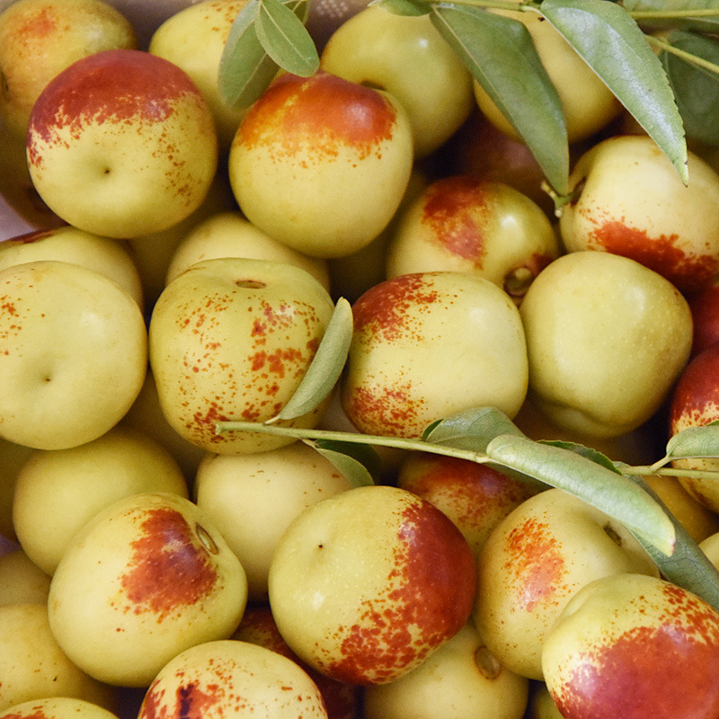 Shaanxi Dali Winter Jujube Direct from the Place of Origin, Fresh Winter Jujube, Free Shipping, Seasonal Fruit Winter Jujube, Dropshipping