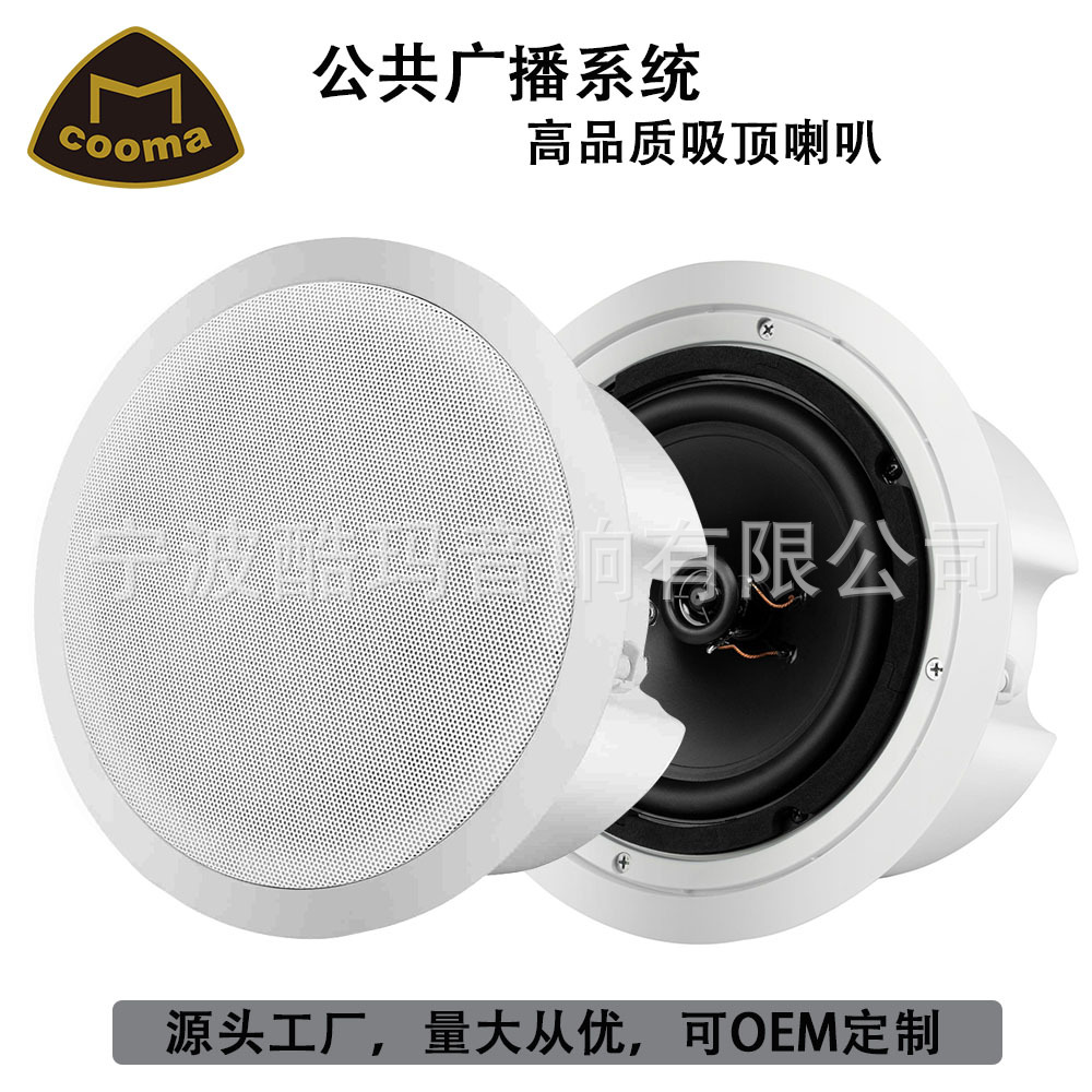 COOMA заводская 2-цветная колонка 5 дюймов 100В/8 Ом потолочная колонка