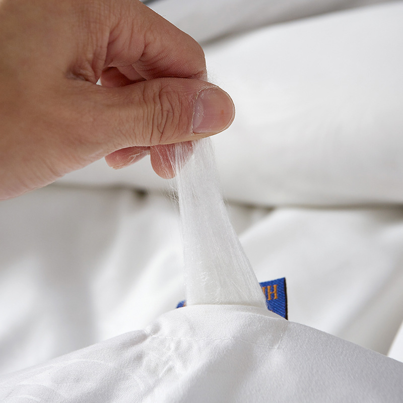 Factory Direct Sales Silk Quilt Spring and Autumn Quilt Thickened Winter Quilt Supermarket Wholesale Gift Quilt Hotel Bed and Breakfast Quilt Core